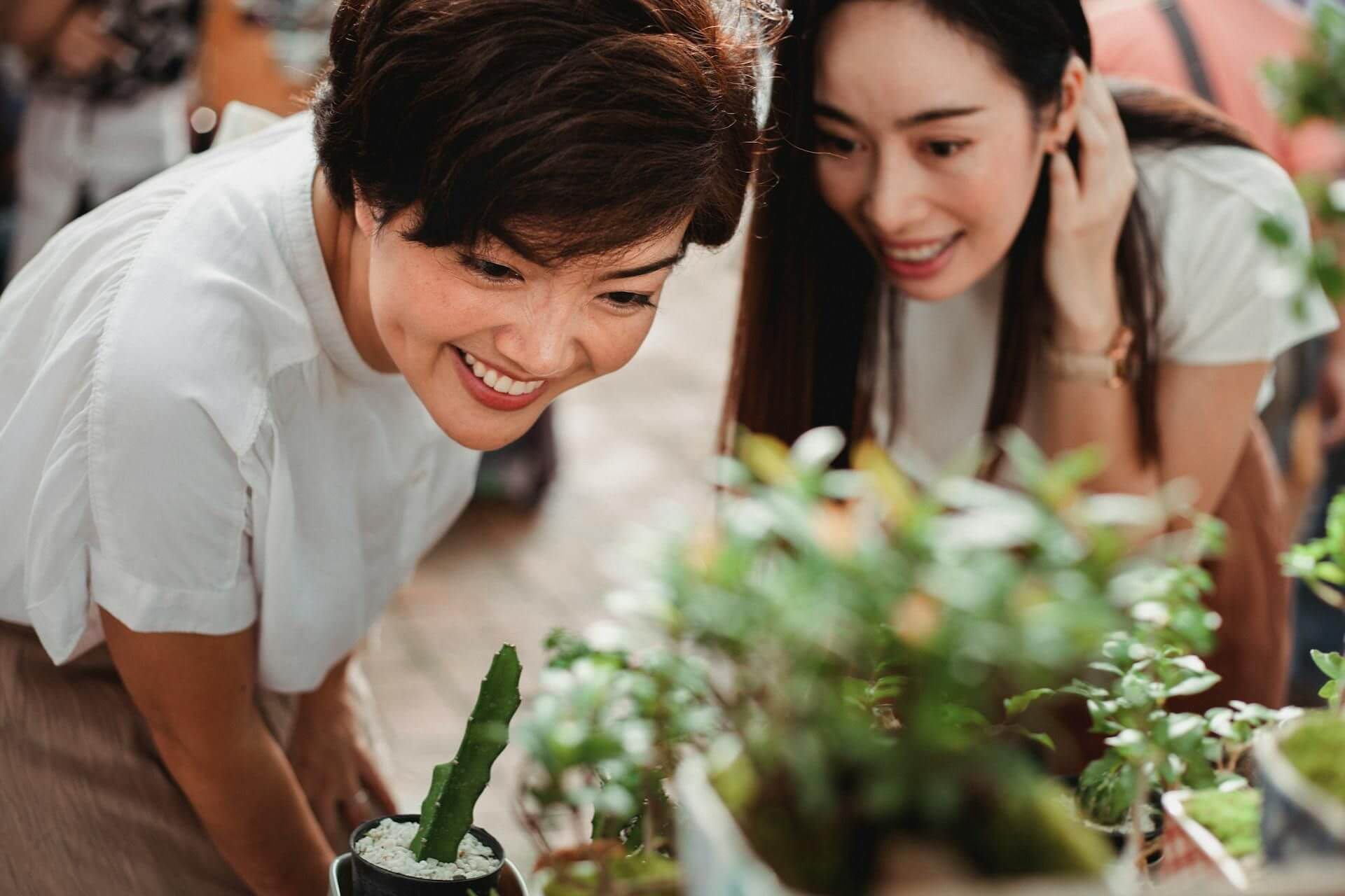 Content Marketing 2026