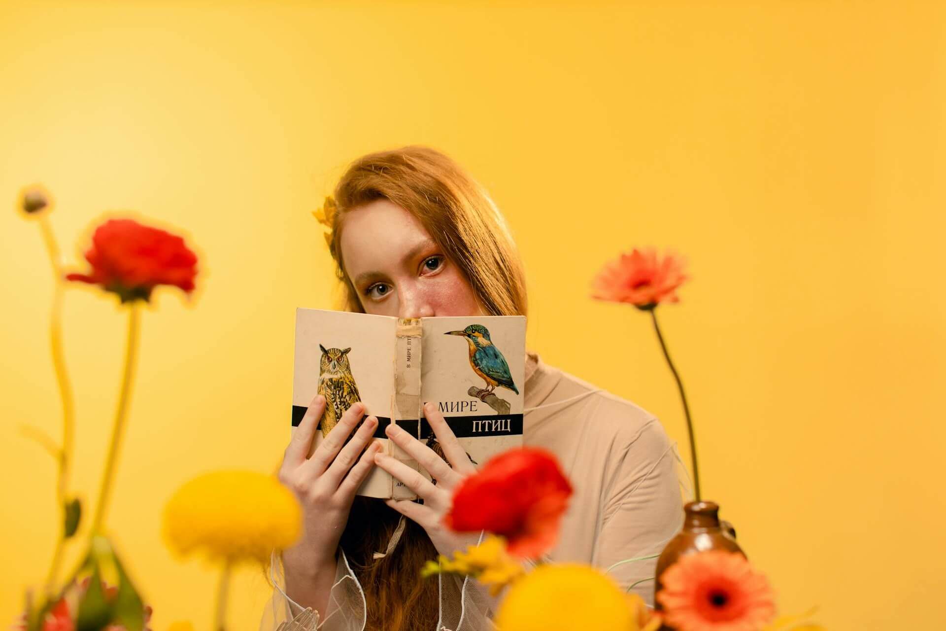 Storytelling para Servicios